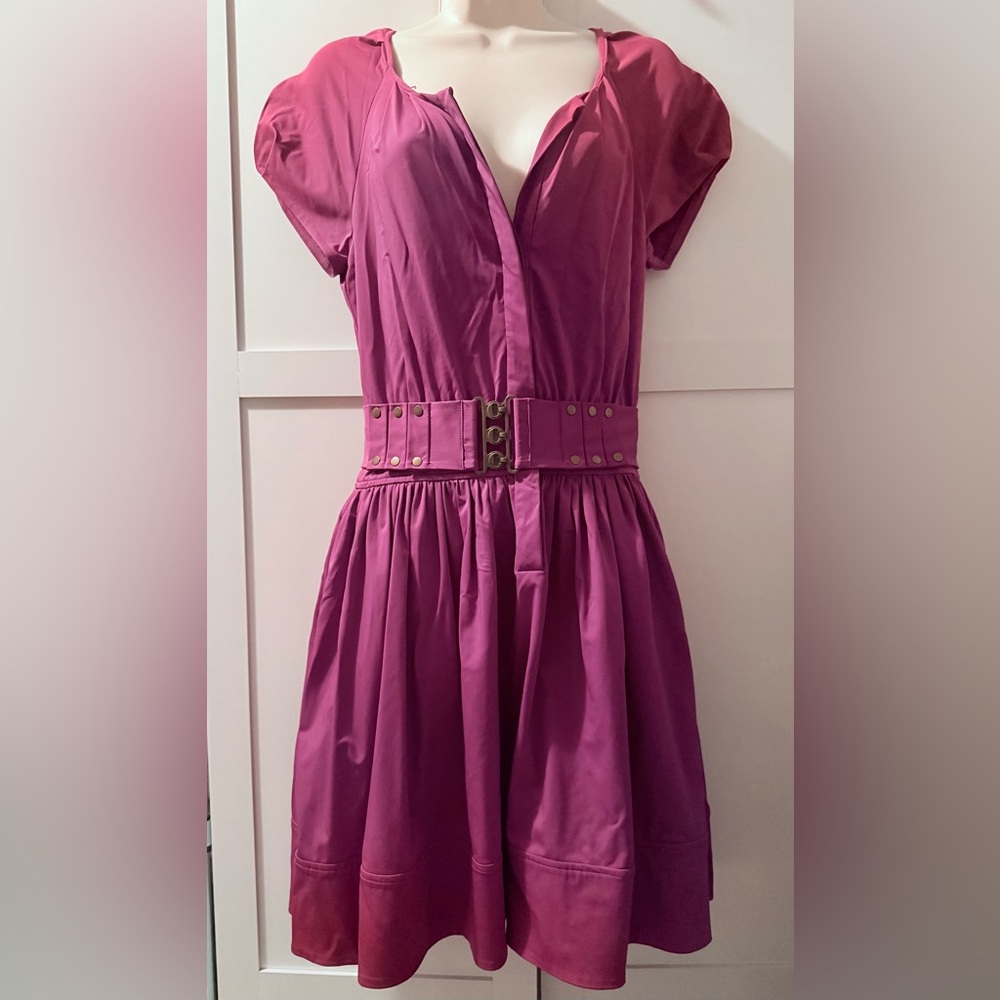 Diane Von Furstenberg Pink Belted A-Line Dress with Notched Collar
